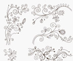 Swirl Floral Decorative